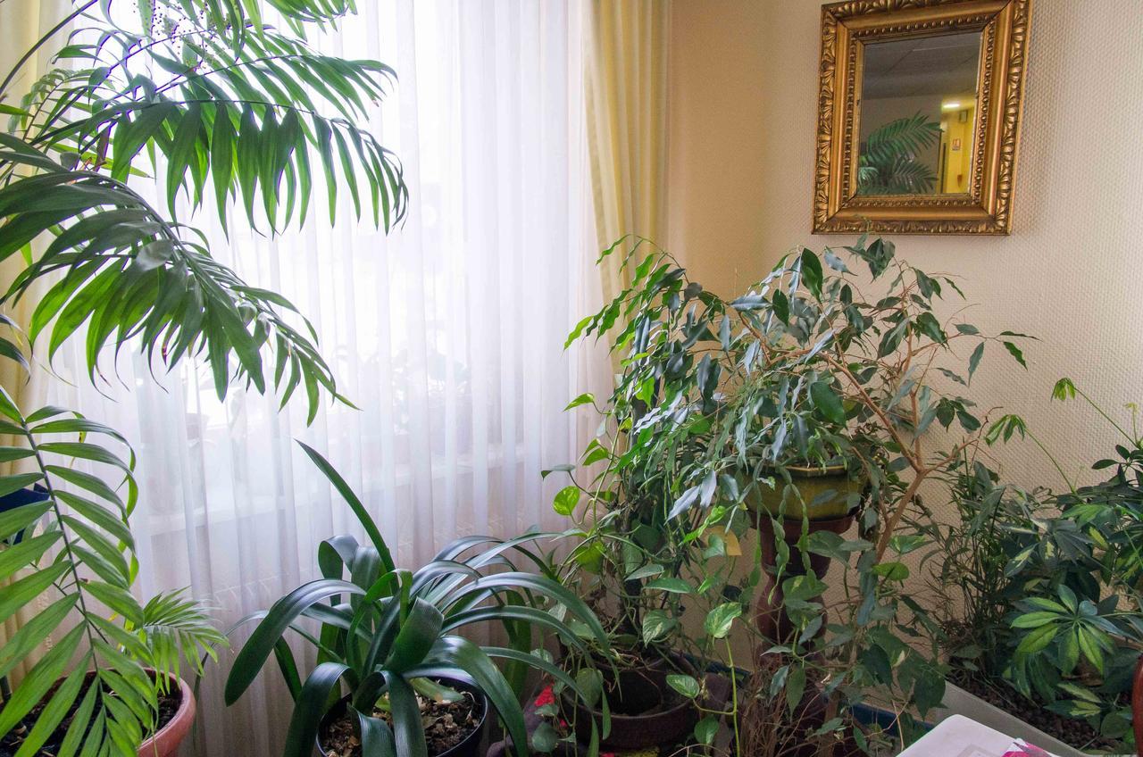 Hotel De Bale Bantzenheim Zewnętrze zdjęcie