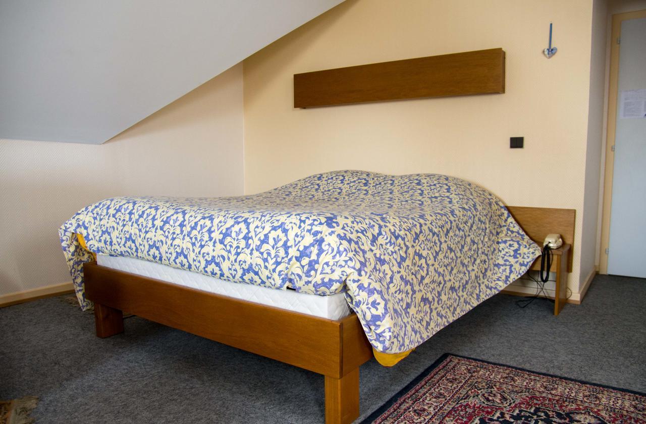 Hotel De Bale Bantzenheim Zewnętrze zdjęcie